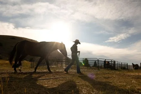 Meet the American Cowgirls Transforming Contemporary Ranching