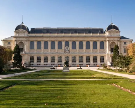 Priceless Golden Samples Stolen in Bold Raid at France's Natural History Museum